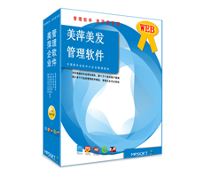 web美发软件管理系统
